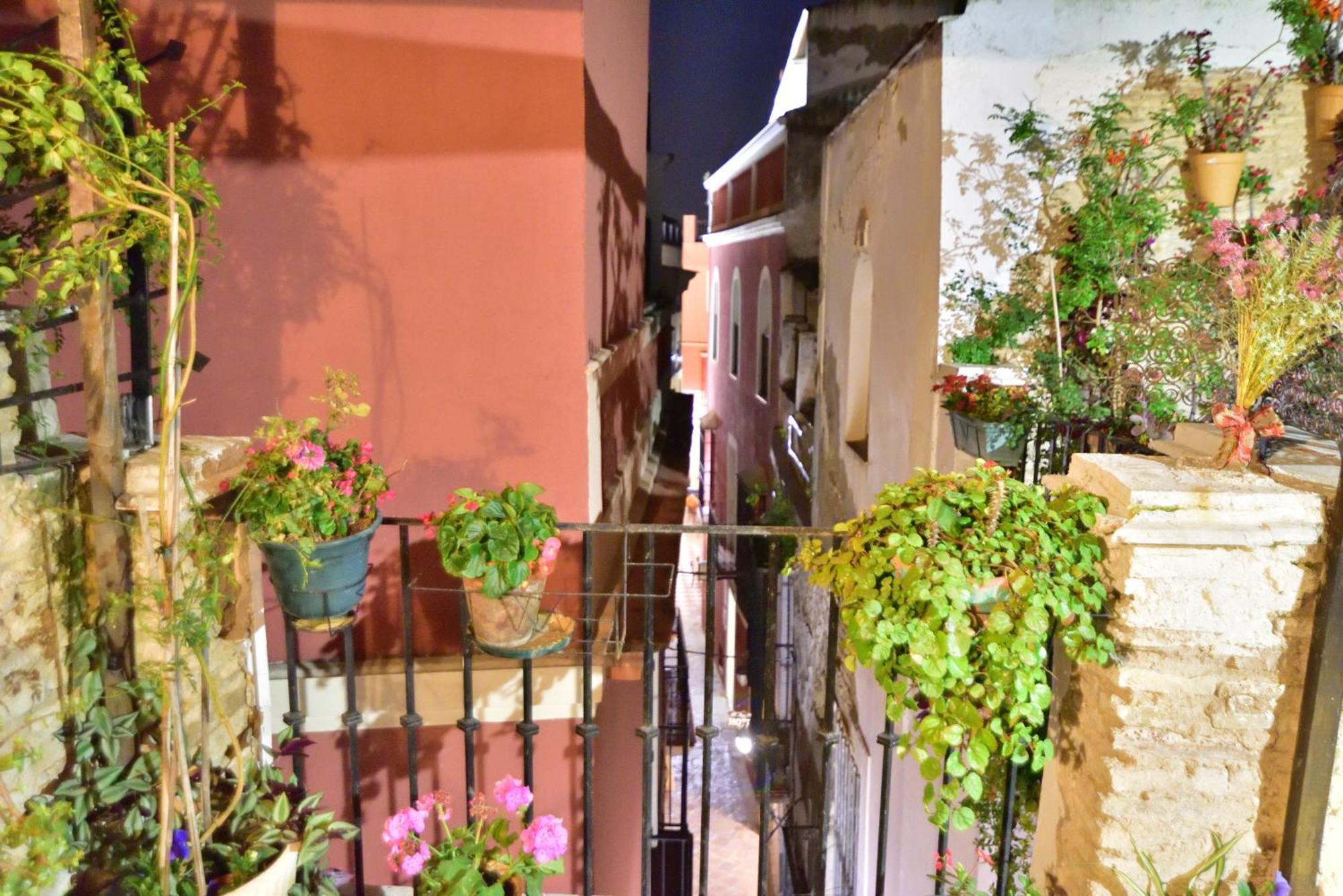 Casa Tenorio Barrio De Santa Cruz إشبيلية المظهر الخارجي الصورة